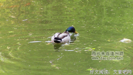 点滴经典名句