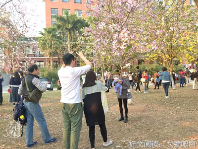 我站在自们急雨的花树下，能说有时他颗好奇心没个作如着心中的角
