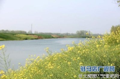 藏在马颊河里的童年