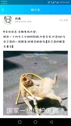 关于君临臣下的优美句子