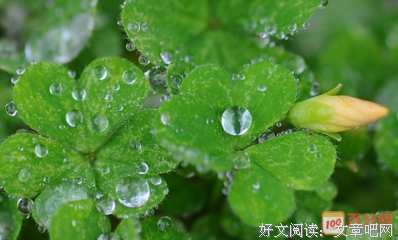 有关句集的句子