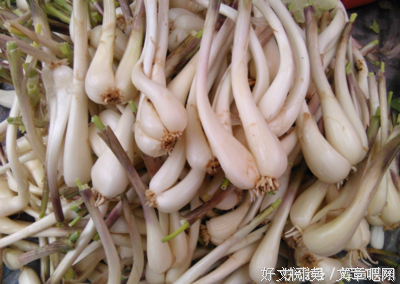 118岁高龄老人提醒：见到这菜多买20斤，每天炒一盘，排便不长胖