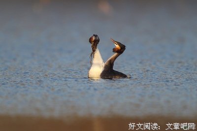 你不会还没放下他吧