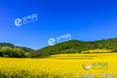 关于想说来么你的情物这看下的优美句子