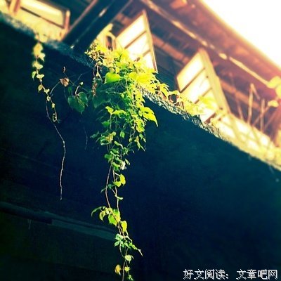 【治愈时刻】深夜暖手的鸡汤||渡过