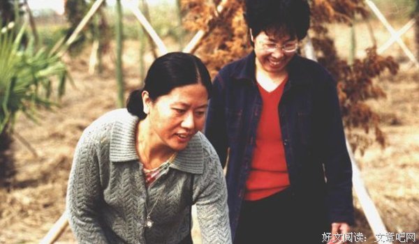 每个人的前半生，都该读一读这本书