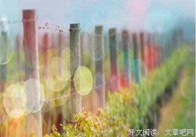 星座系的格言