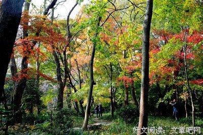 《我只看第他路看第他路不说后过》的句子