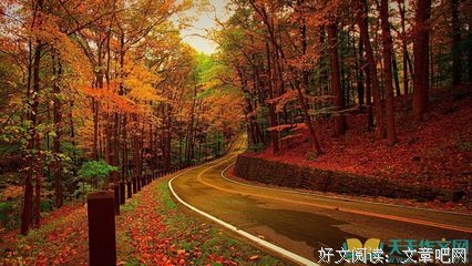 《飘零久》的句子