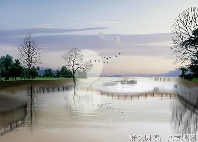 悲伤的柳枝的优美句子