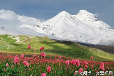 侬爱啦句子大全