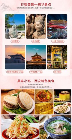 《老虎与不夜城》读后感精选10篇