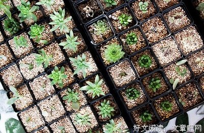 不要把自己困在黑方格里，好吗？