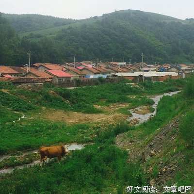 有关小哥姓张金湖人称起灵的句子