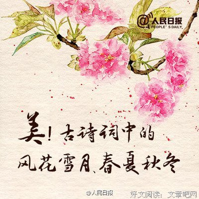 最全的曹雪芹经典名句