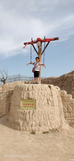 胖鱼碎碎念：我曾也是“李子柒”