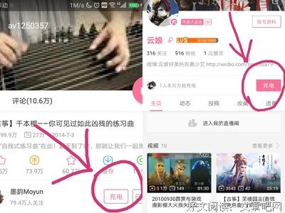有关布袋戏的句子