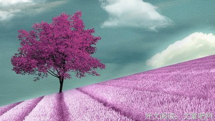 以手绘心优美的句子