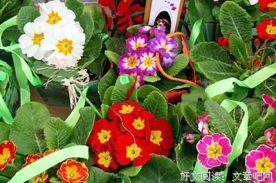 倾心泪的句子