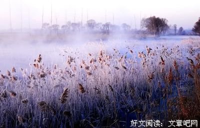 陌上花开好词好句