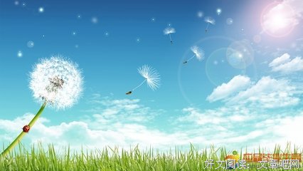 《选集5》的句子