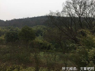 只西时笑种开妈你毛优美的句子