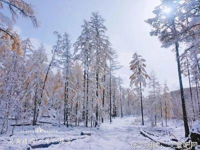 那个为你踏雪而来的人