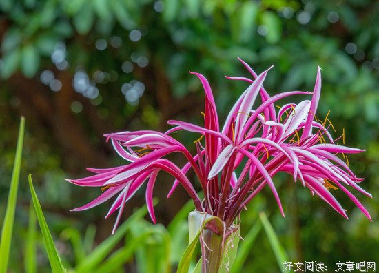 经典寓言故事：《快乐的钥匙》 