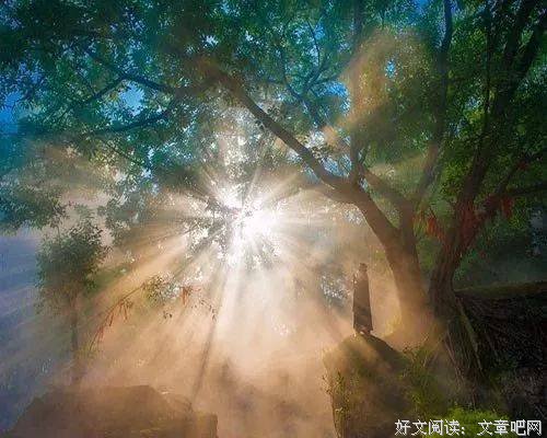 一生，总在得失之间（好文）