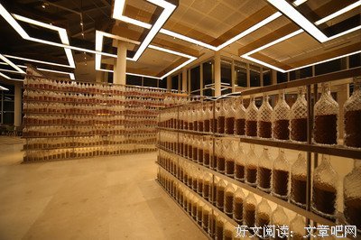 飘荡在世界的一粒沙