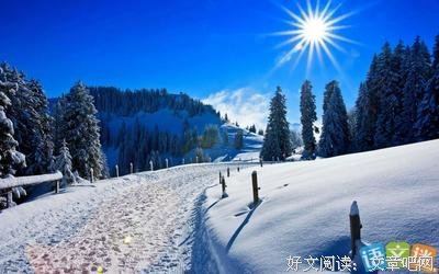 关于同感----摘抄-----哲只发她的优美句子