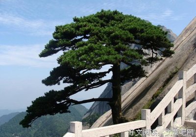 望经典名句