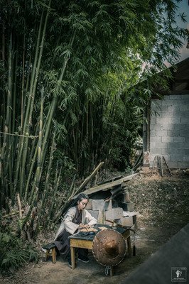 ★我亦飘零久☆经典名句