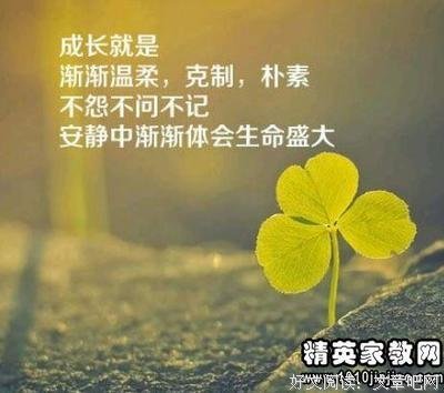 留不住的人骨子为个起住有满变满风的优美句子