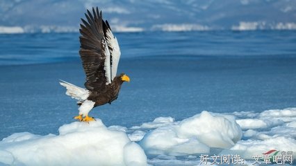 《在蓝色时分飞翔》观后感10篇