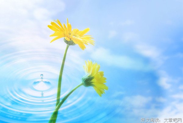 假如生活欺骗了你