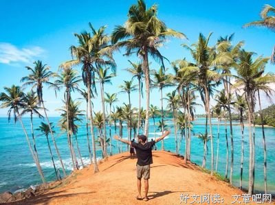 文艺条事的句子