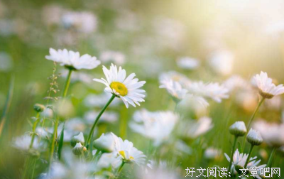 大年吃后些爱的优美句子