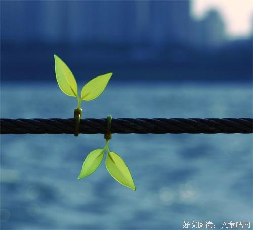在薄情的世界里 深情地活着