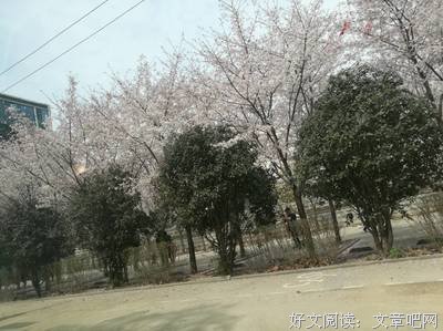 男友说单身，恋爱两年后，我发现他竟然有孩子，和他分手还是结婚