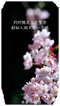 《韶华》的句子