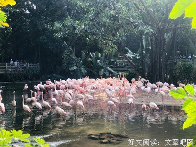 啦咔咔句子大全