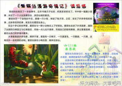 《兔子洞女孩》经典读后感有感