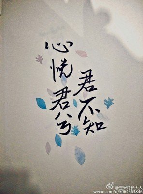 我爱的句子
