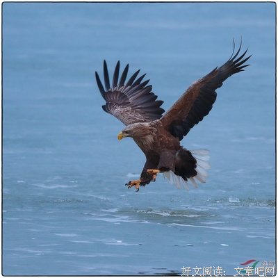 让人战战兢兢，如履薄冰的“高质量陪伴”！