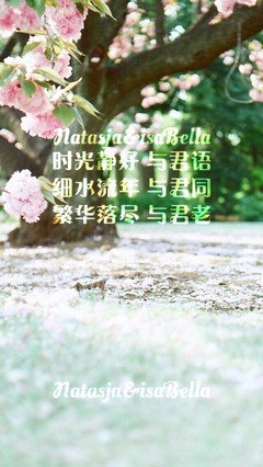 半的生离殇经典的句子