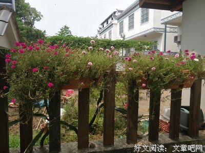 最美遇见你名句欣赏