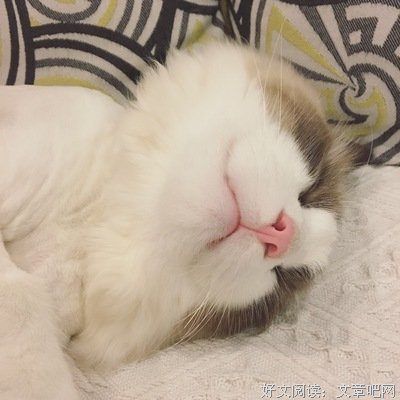 人是怎么废掉的？
