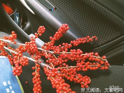 此物最相思。