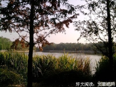 万叶集经典的句子